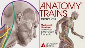 anatomy trains-graphic